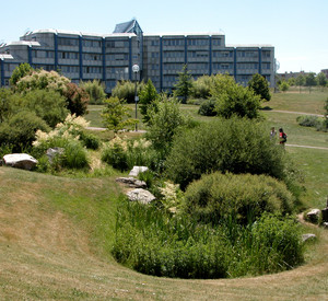 Universität Trier, DM Gebäude und Parklandschaft