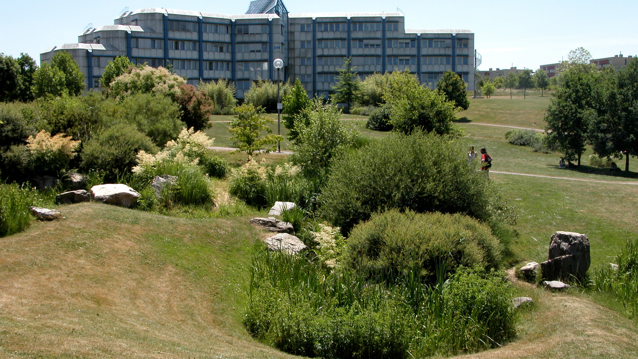 Universität Trier, DM Gebäude und Parklandschaft