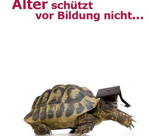 Schildkröte mit Doktorhut; Text: Alter schützt vor Bildung nicht...