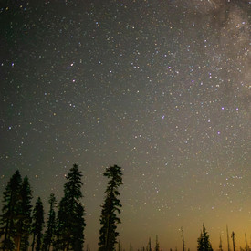 Bestattung von Sternenkindern